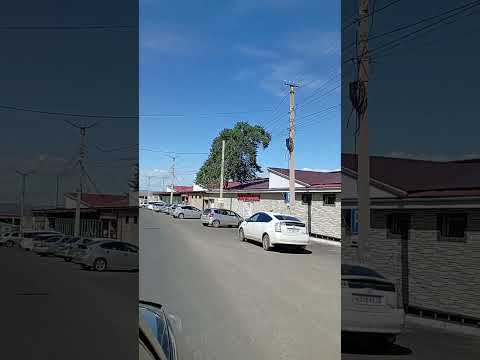 Сухая падь. #чита #travel #automobile #nature #peterburg #лето #animals #погода #забайкальскийкрай