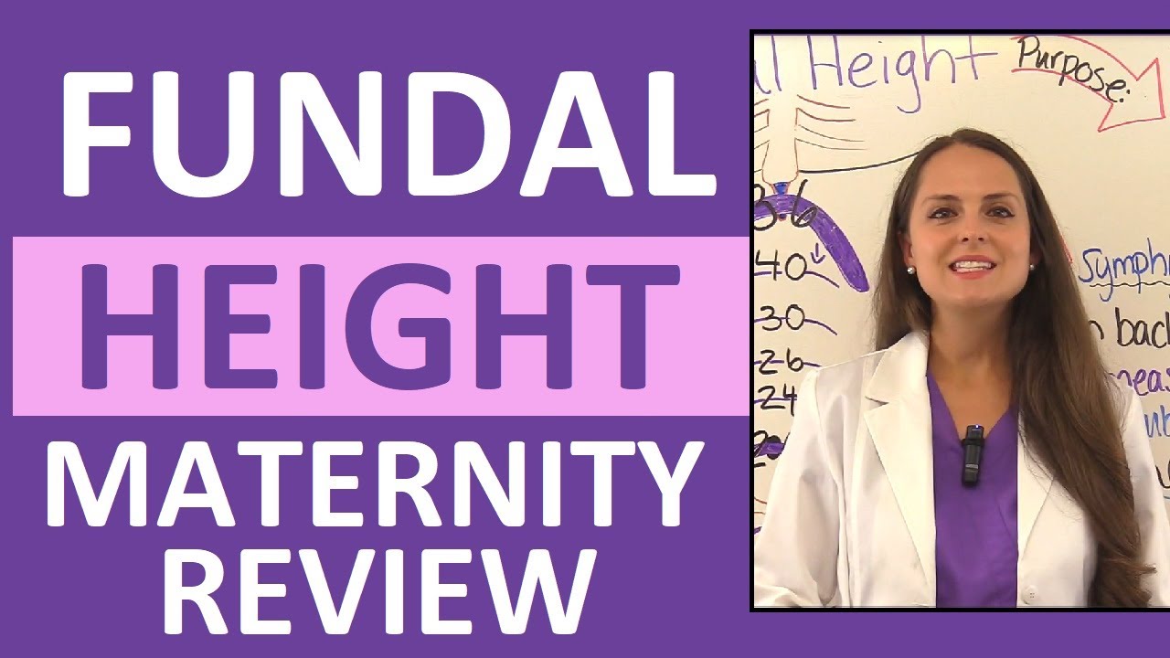 Fundal Height Measurement in Pregnancy 📏