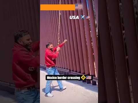 USA donki latest video 🇺🇲🇺🇲 #usa #america #donkey Mexico border