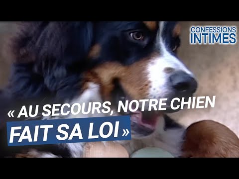 Mon chien fait la loi !