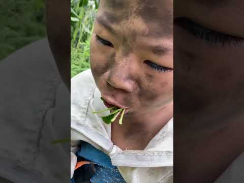 Cậu Bé Người Rừng p3 - người rừng bỏ đi | tippi tv