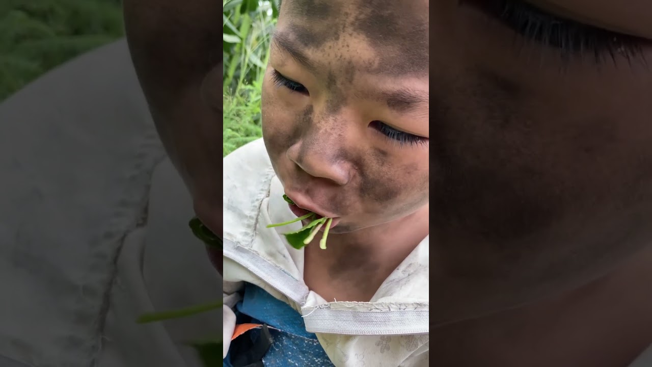 Cậu Bé Người Rừng Phần 3: Người Rừng Bỏ Đi | Tippi TV 🌿