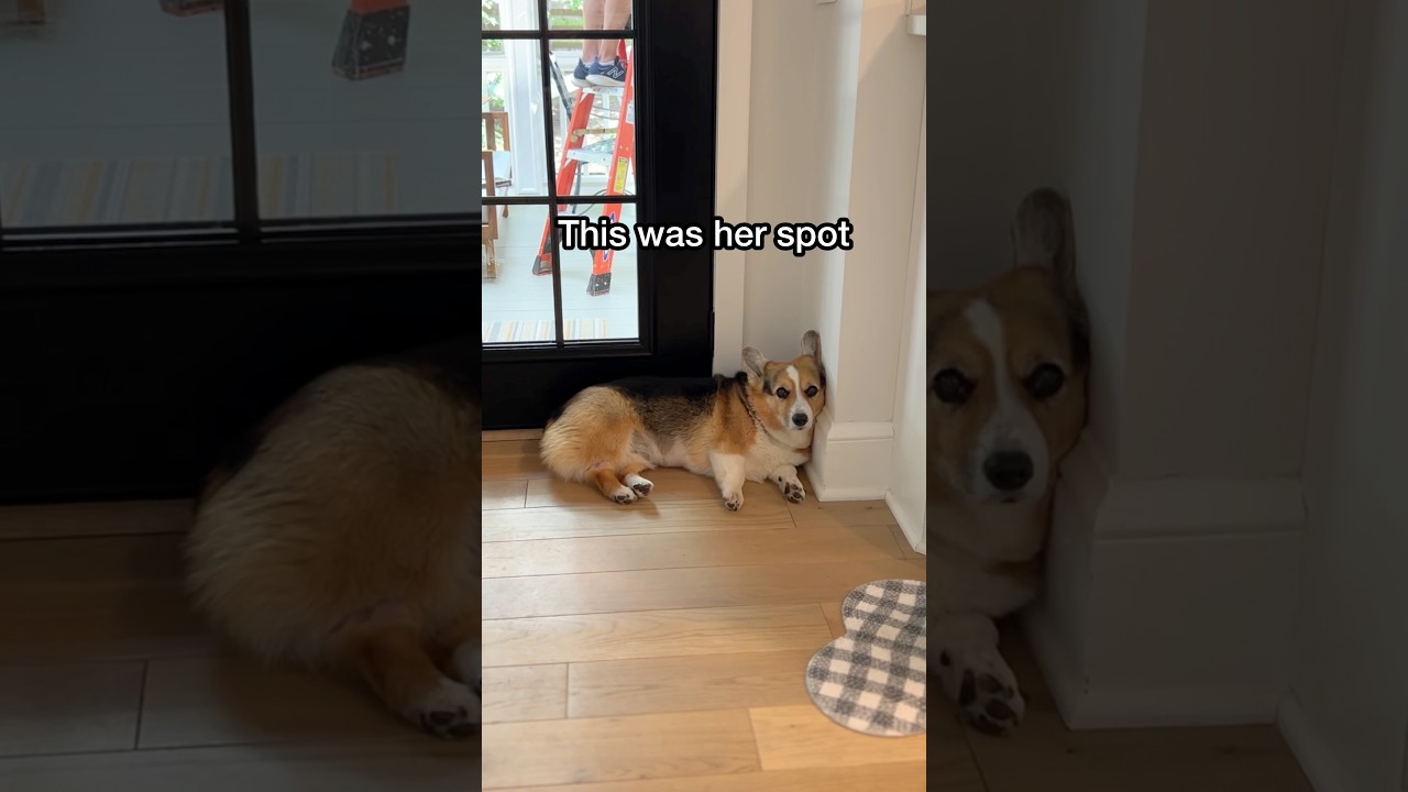 She’s Keeping It Warm for Her! ❄️