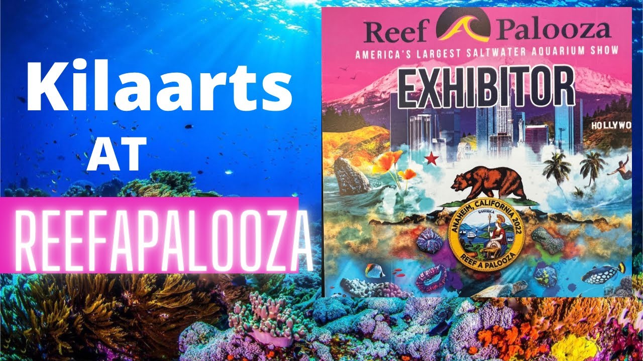 Reefapalooza 2022 California with Kilaarts 🌊