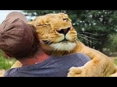 Animals Hugging Humans 🐾 - Cute Compilation
