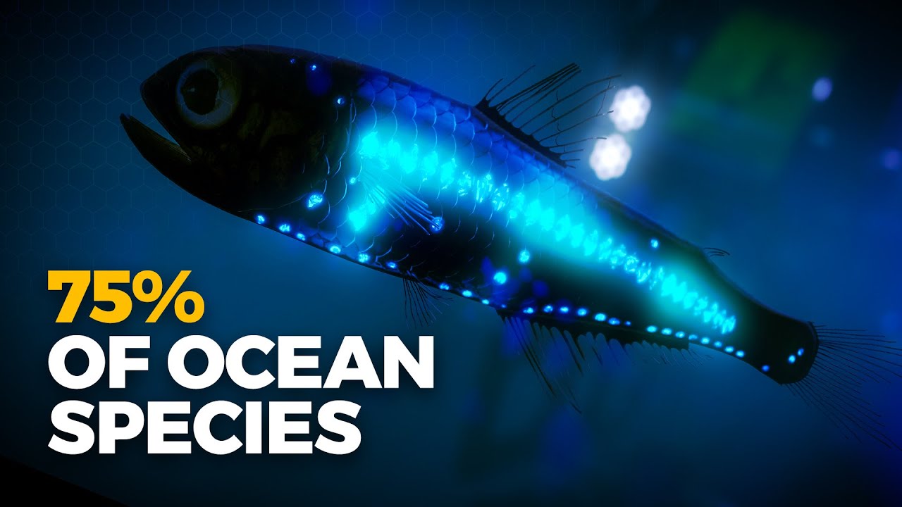Discover Why Most Ocean Bioluminescence Is Still a Mystery π