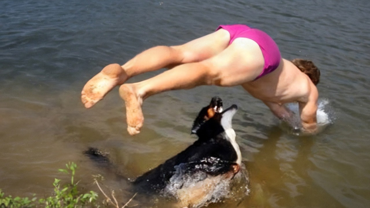 Забавные моменты с животными 🐾