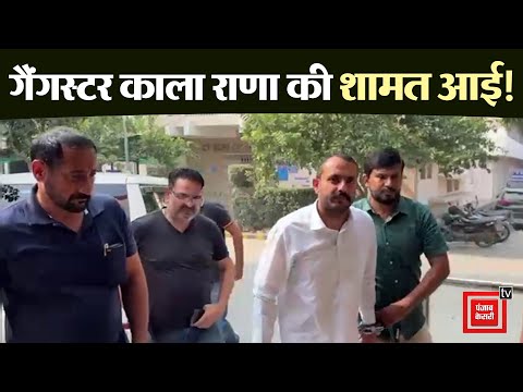 खत्म हुआ गैंगस्टर काला राणा का रिमांड, कड़ी सुरक्षा के बीच करवाया गया मेडिकल