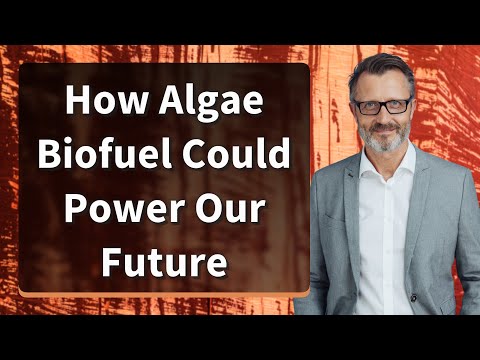 How Algae Biofuel Could Power Our Future