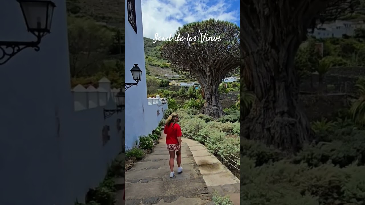 The 10 Top 10 Must-Visit Spots in Tenerife 🌴