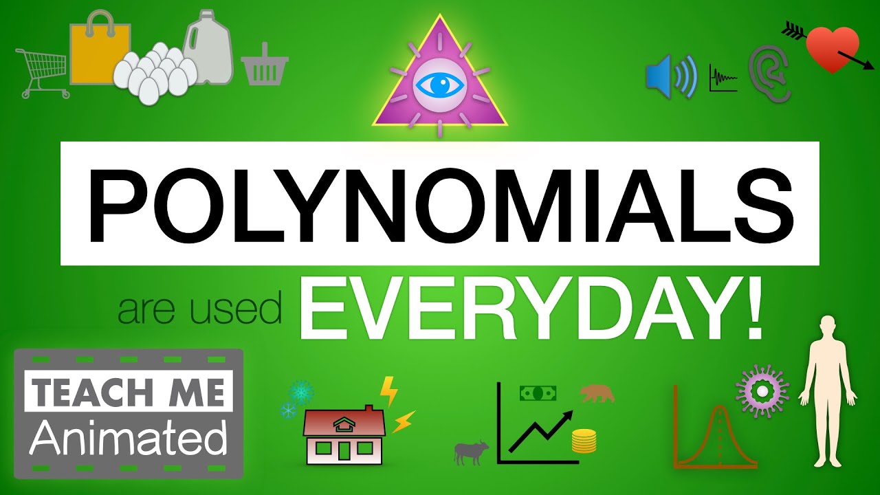 Applications of Polynomials in Real Life | Animated Introduction (Part 1)