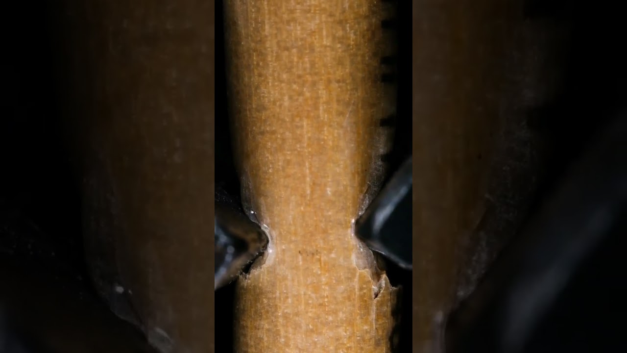 Amazing ASMR & Macro Sound Videos 🎧