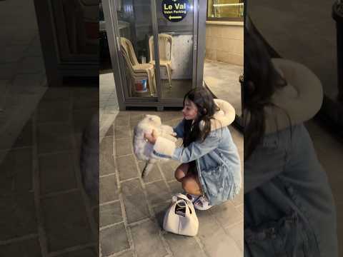 اقنعوا حبيبي آخذها معي عالبيت 😭🥹 #اكسبلور