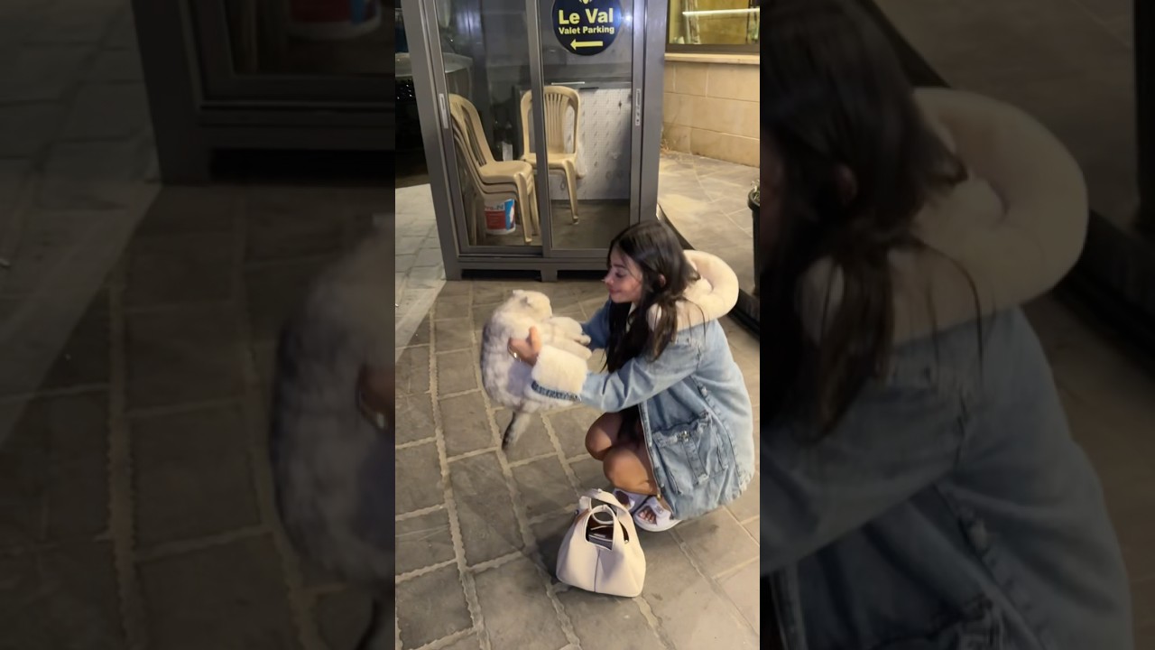 كيف تقنع حبيبك يأخذها معه إلى المنزل؟ 💬