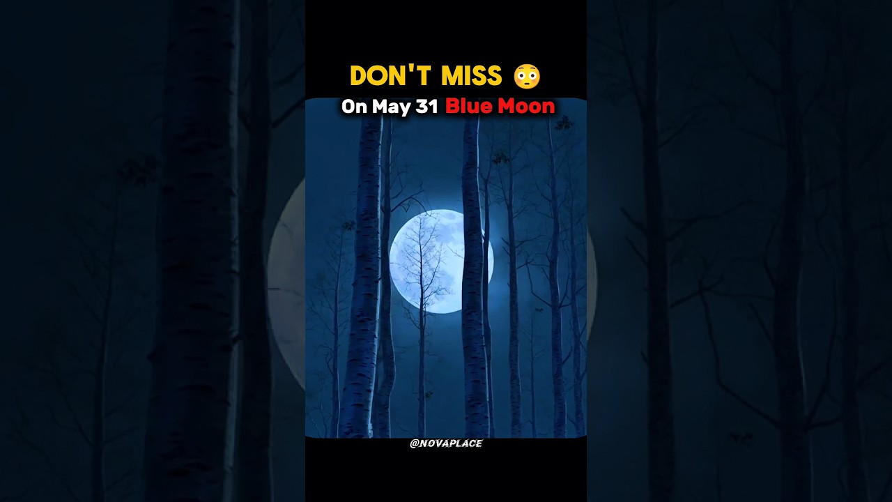 Wild Events Expected in 2026! 🌍