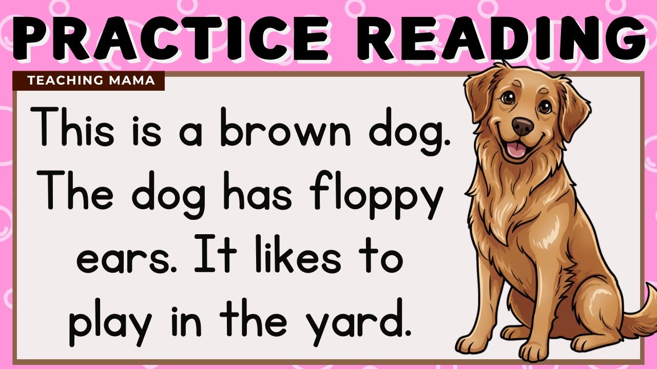 Let's Read! Beginner English Practice 📚