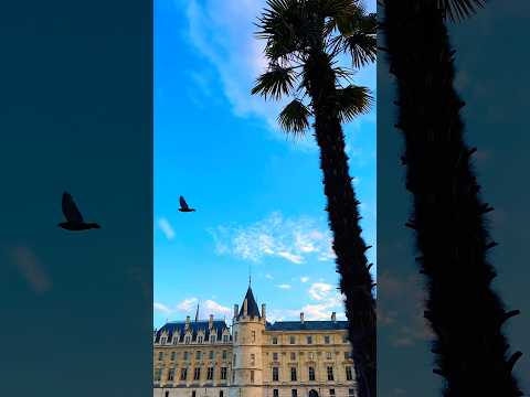 Александр Закшевский - Да и надо ли? #александрзакшевский #песниожизни #музыкадлядуши #шансон