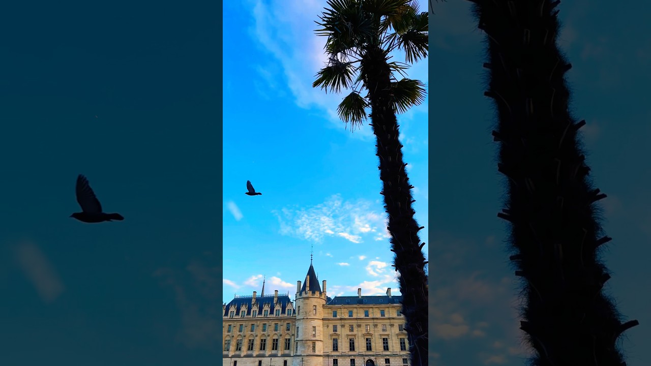 Александр Закшевский: Стоит ли слушать? 🎶