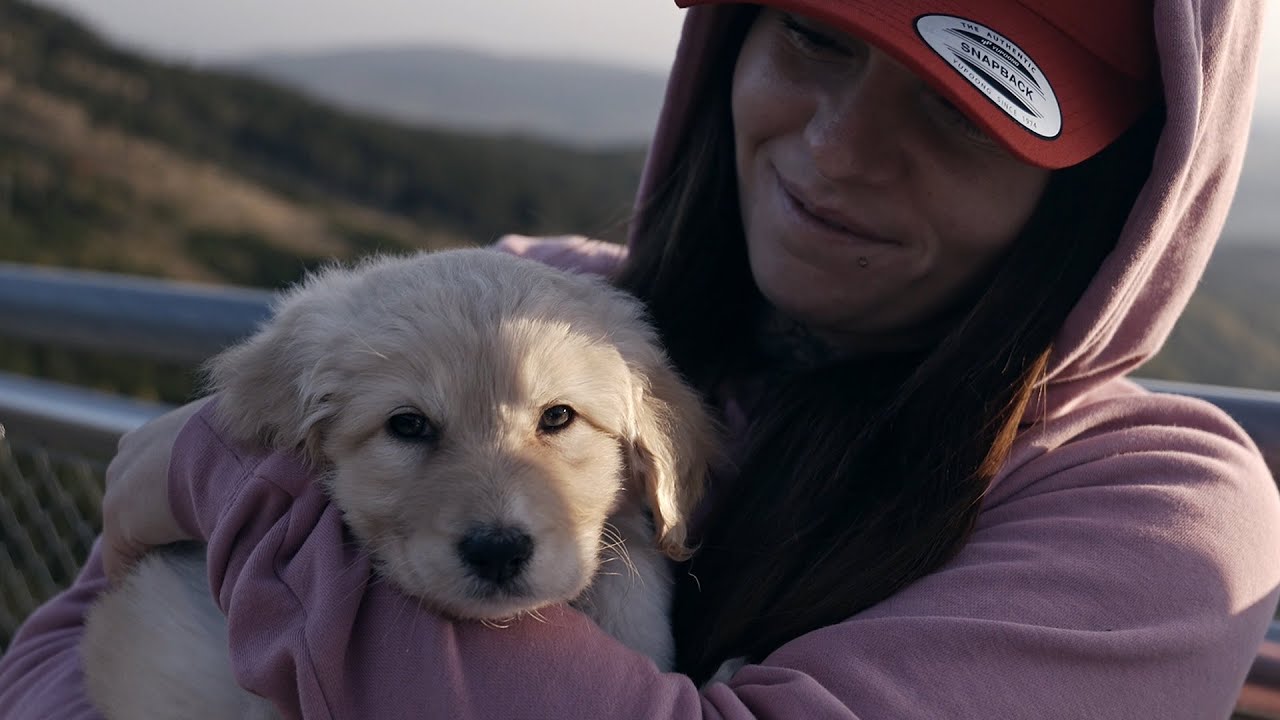 Daniel DYM KNF ft. Finu & Ola | Flame Production 🎶