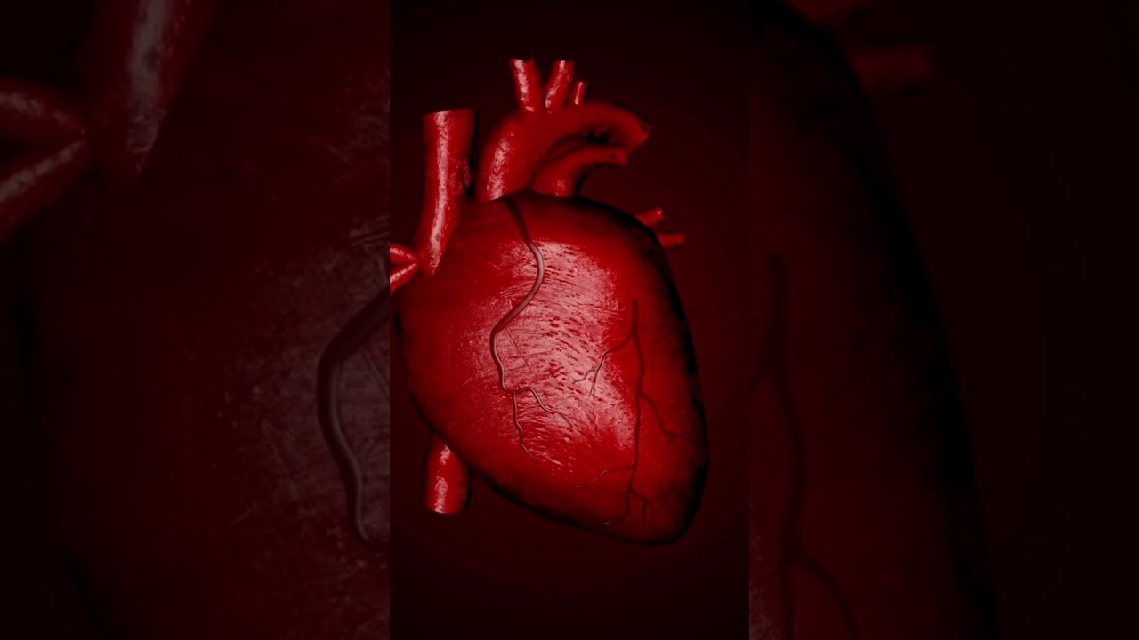 4 Types of Shock Explained in 60 Seconds 🩺
