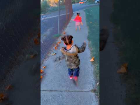 Other twin is running after her sister 😢😇#recommended #beautifulmoments #omg #beautiful #running