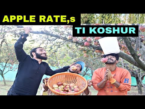 Apple Rates Ti Koshur 😆 Kashmiri Funny Drama By Kashmiri Rounders 