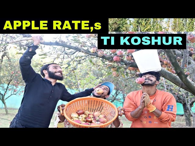 😂 Hilarious Kashmiri Drama: Apple Rates Ti Koshur? | Kashmiri Rounders