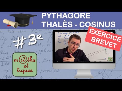 Prépare ton Brevet : Pythagore, Thalès & Cosinus 📐