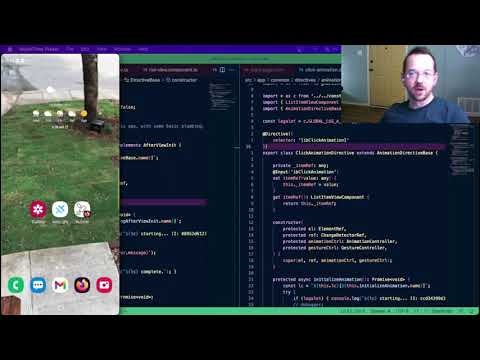 Pictures in Pictures - IBGIB Demo & Deep Dive v0.2.106 📸