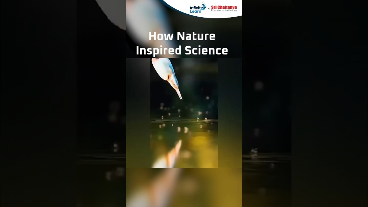 Nature's Inspiration in Science 🌿
