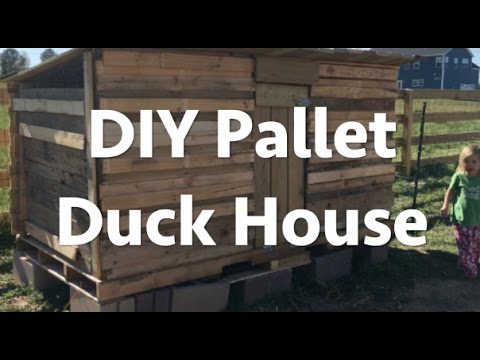 Pallet Duck House