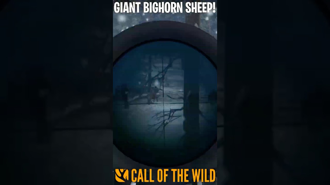 Not So Fast Buddy! Giant BIGHORN SHEEP on Call Of The Wild! #risky #deer #thehunter #cotw