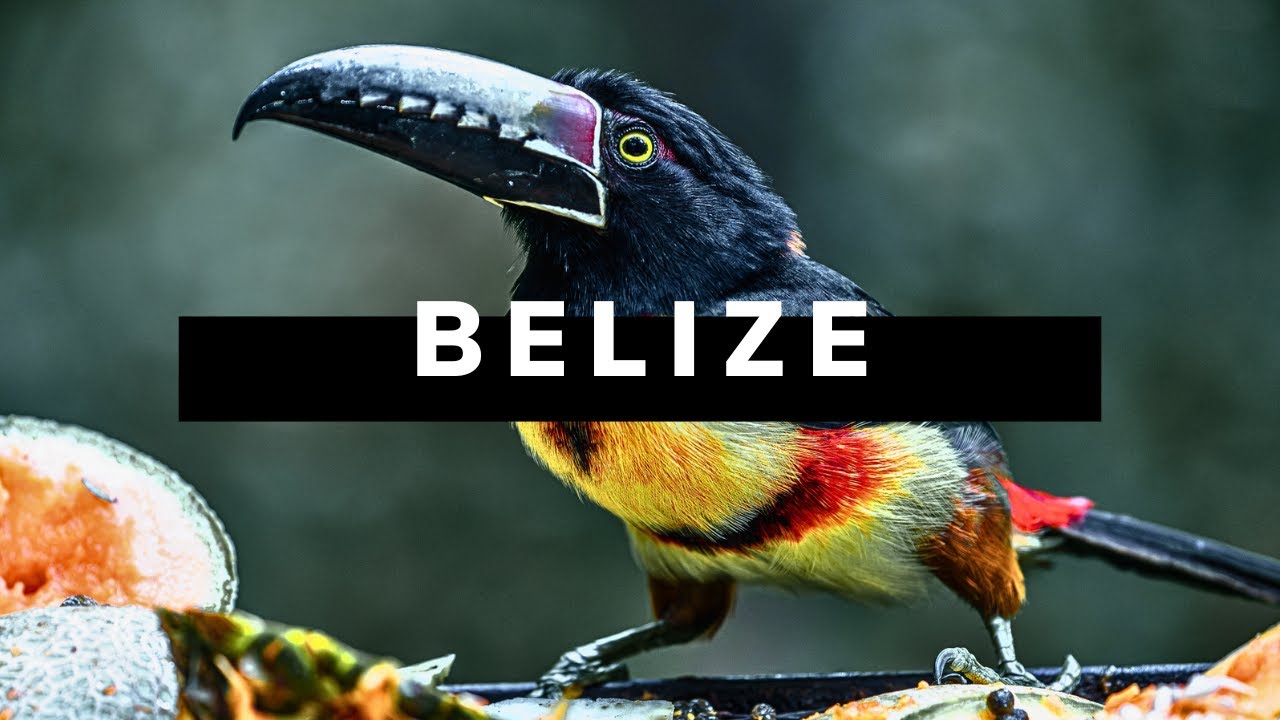 Explore Belize: Epic Roadtrip Adventure 🇧🇿 | Travel Documentary