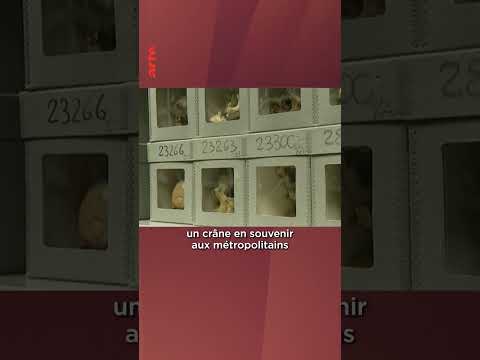 Des crânes comme "trophées" pendant la colonisation de l'Algérie