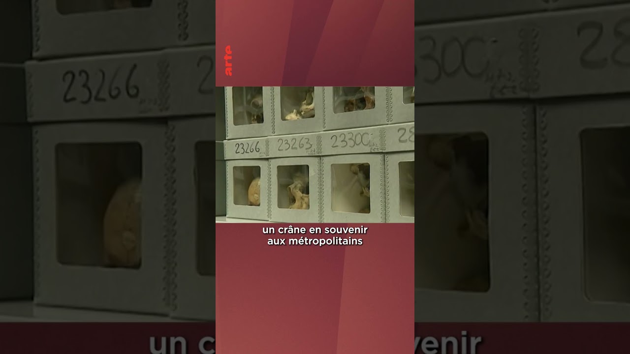 Les crânes comme trophées durant la colonisation de l'Algérie