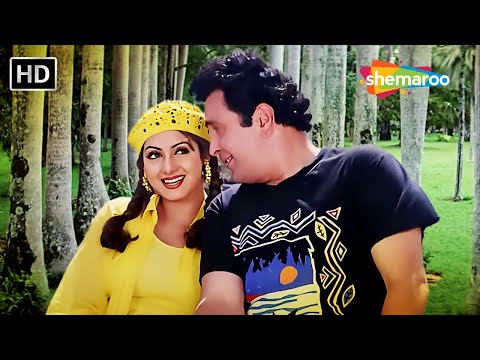 Dil Se Judi Dil Ki Kadi | Kaun Sachcha Kaun Jhootha (1997) | Kumar Alka Duet | Rishi Kapoor, Sridevi