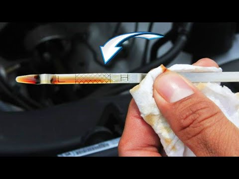 Лучшее масло для авто: Почему отказался от Татнефть LUX PAO