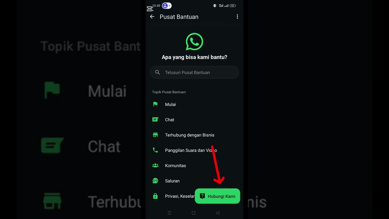 Cara Aktifkan Meta AI di WhatsApp 🔧
