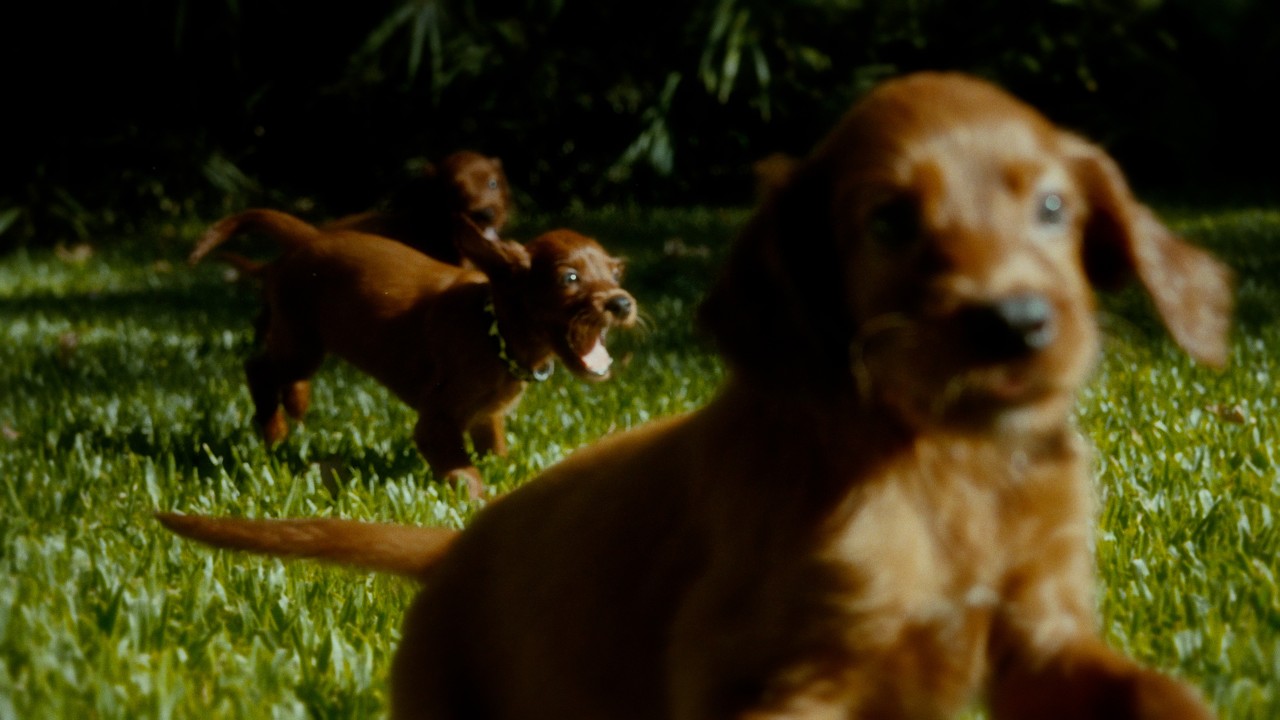 STIFFY - Inexplicable (Official Video) 🎶