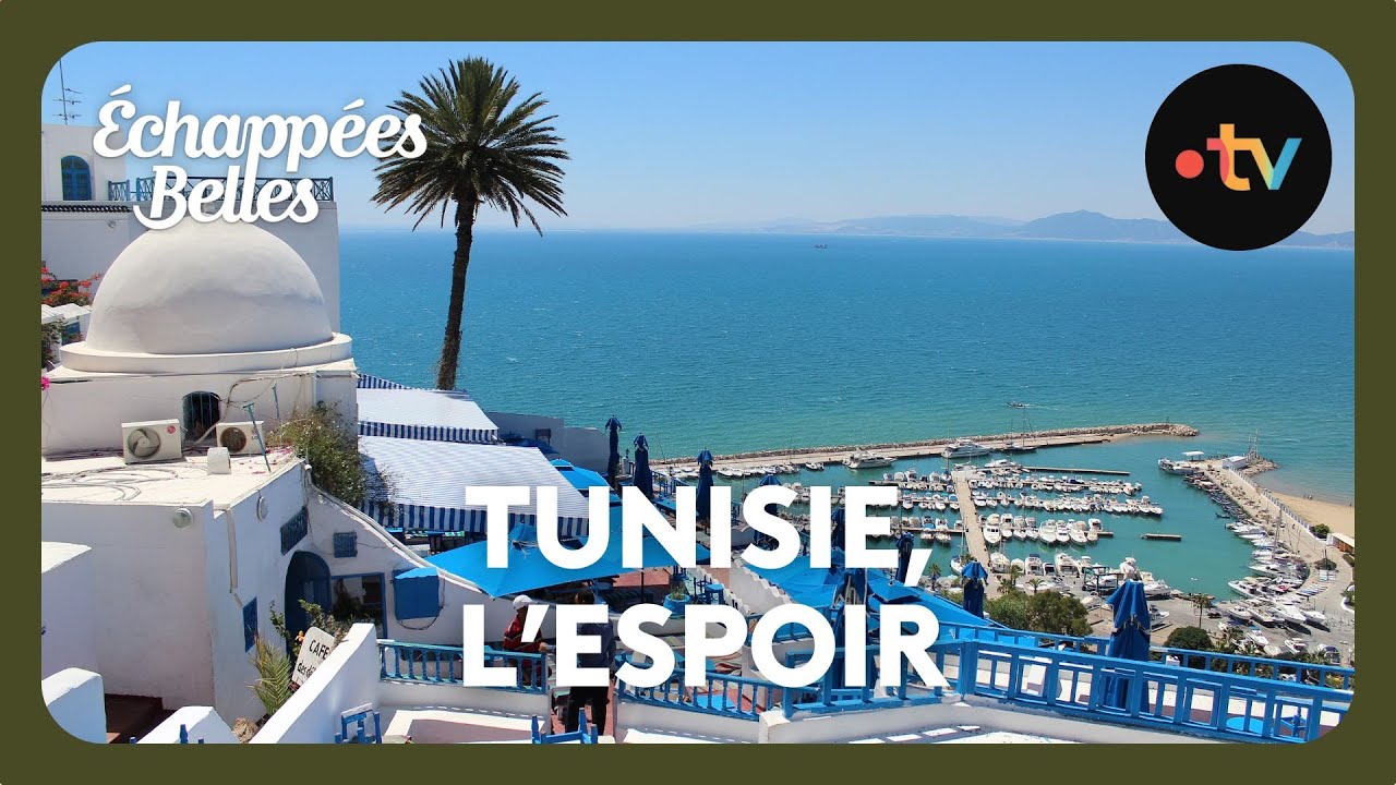 Tunisie : Les Jasmins de l’Espoir 🌸 - Une Échappée Belles Inoubliable