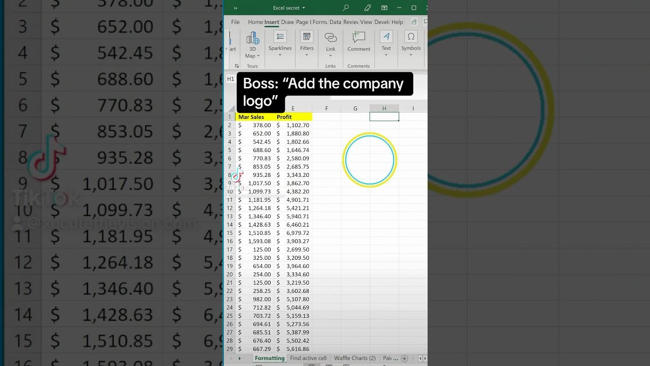 Add Logo or Image to Excel Sheet 📊