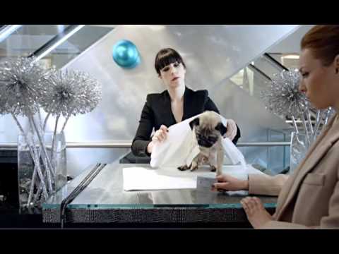 Harvey Nichols Christmas 2010: Fashionista's Must-Have 🎁