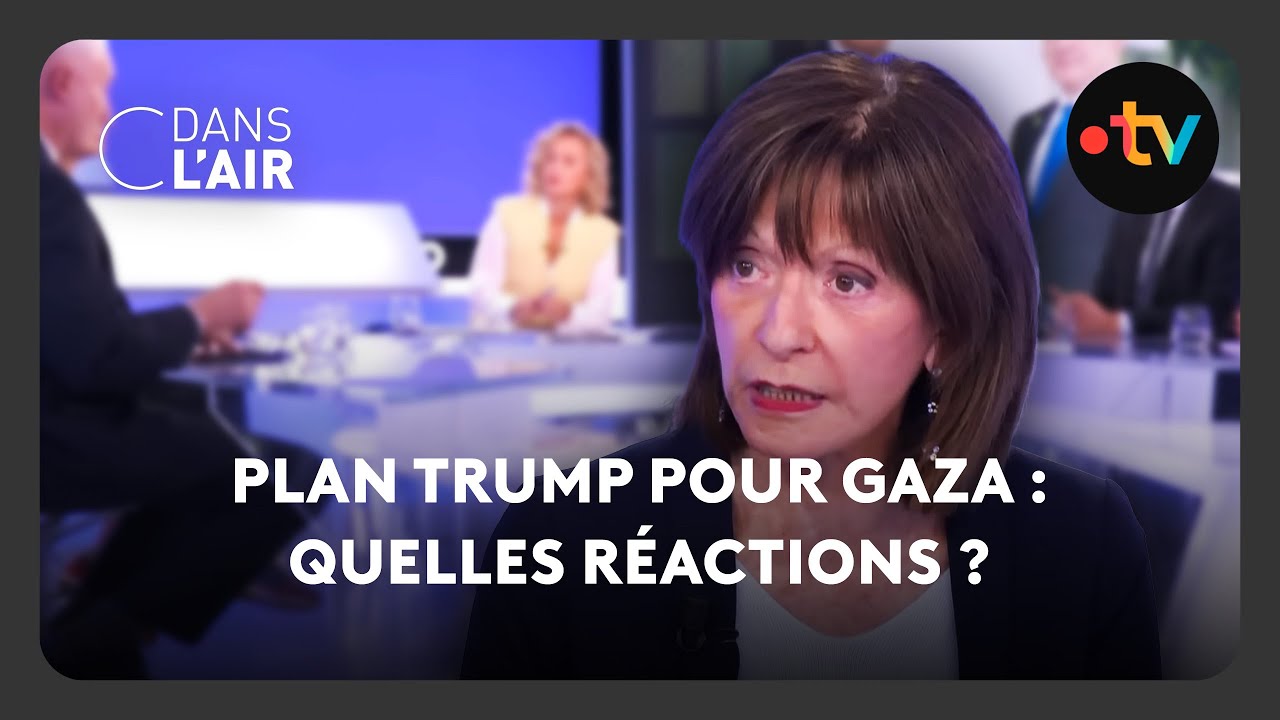 Plan de paix à Gaza : Arabes favorables 🌍
