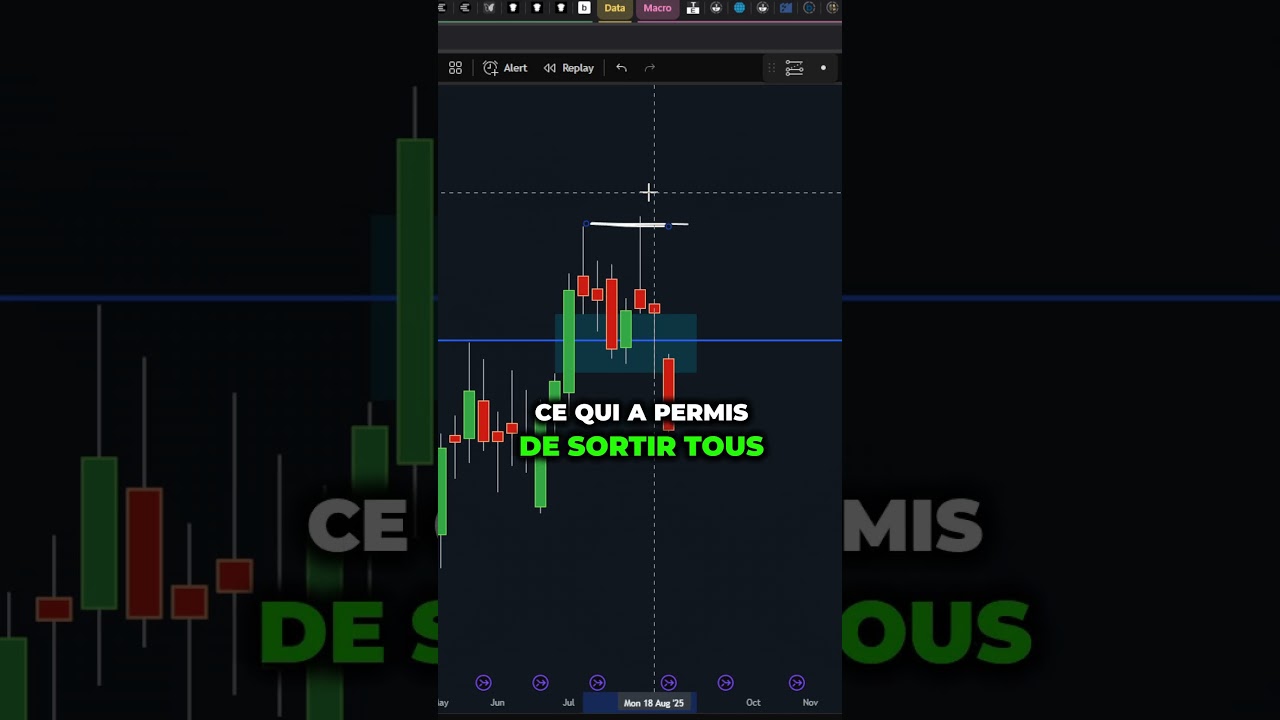 Grosse Correction sur les Altcoins à Cause du Bitcoin 🚨 | Ce Que Vous Devez Savoir