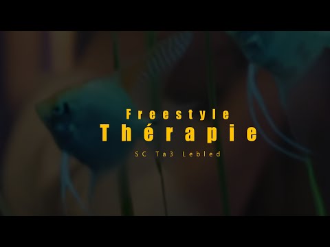 SC PAPI - Freestyle Thérapie (Official Music Video)