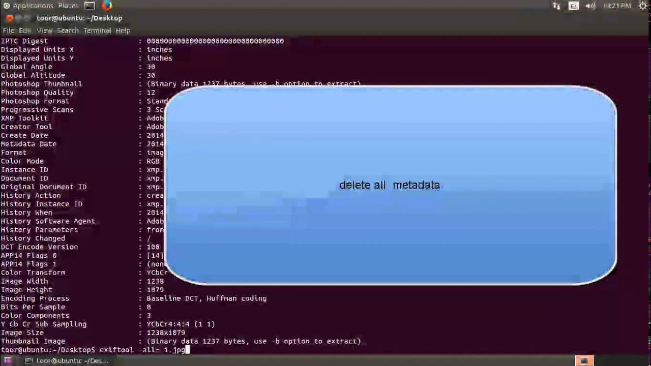 Master Metadata Management with ExifTool: Handle & Remove Metadata Easily 🛠️