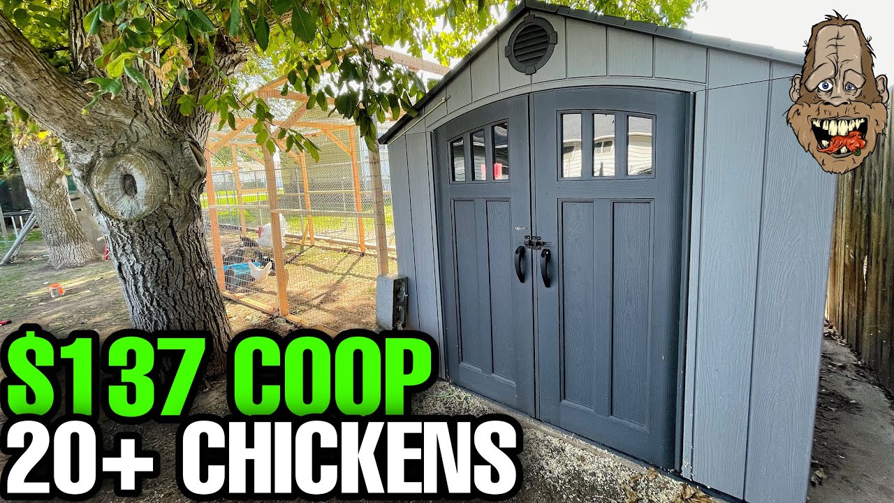 Affordable DIY Chicken Coop 🐔