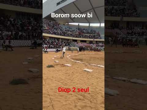Diop2 Yeungueul Na Aréne Bi