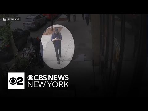 Video shows Steve Buscemi moments before getting punched in NYC