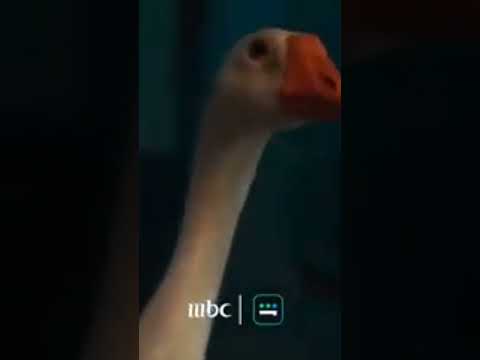 #رامز_جلال اعلان رامز جلال الجديد #رمضان_يجمعنا #السعودية #مصر